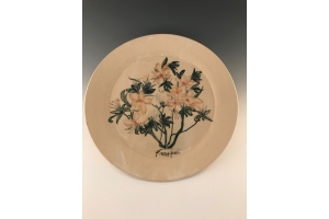 Painted Collection